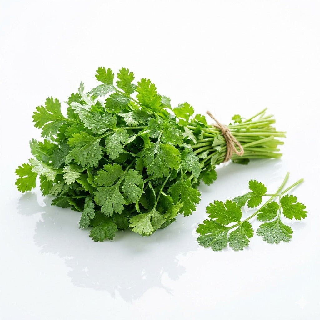 Coriander(دھنیہ)